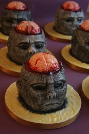 monkey-brains1