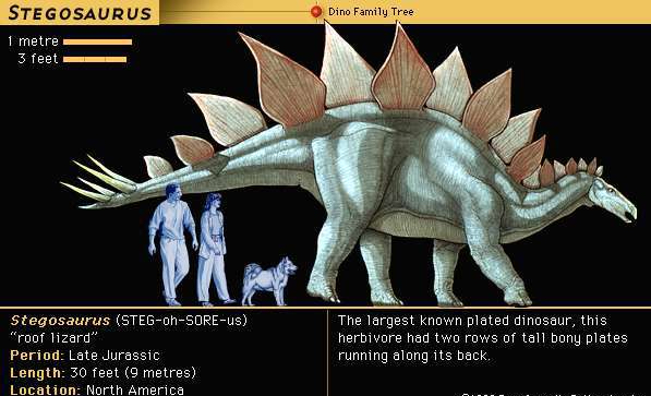 stegosaurus